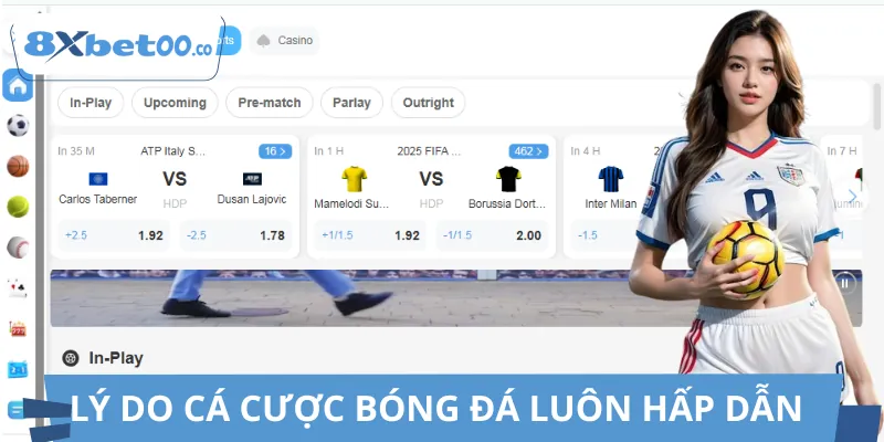 Cá cược bóng đá khiến cược thủ mê quên lối về