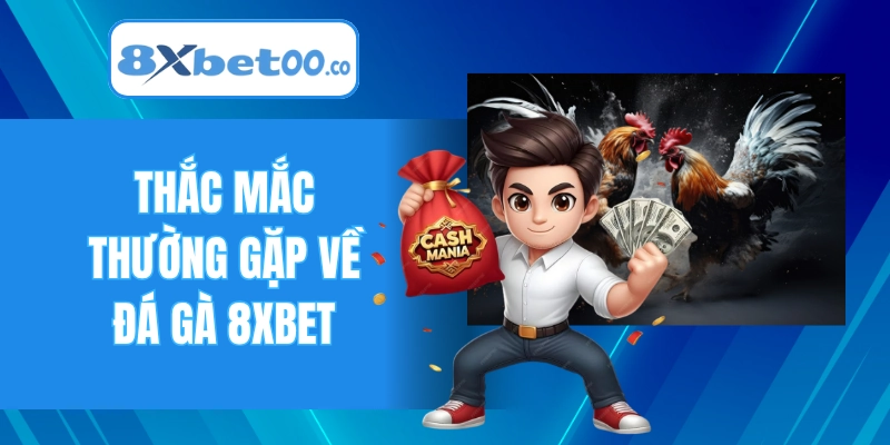 Thắc mắc thường gặp về đá gà 8XBET